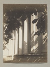 The cathedral from the castle garden; photograph, Bulhak, Jan 1876–1950, Vilnius, cathedral