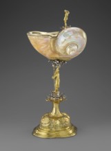 Nautilus Cup. Shell cup on a four-part profiled foot that transitions into a knobbed foot decorated