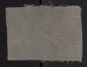 Fabric fragment, silk fragment of patterned fabric with a net composition and preserved pattern.