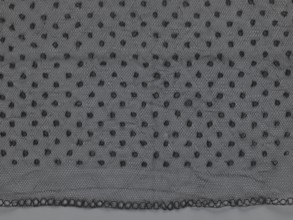 Veil;, lace; clothing accessory; ; fashion. Lace with a floral-geometric pattern running in a wide