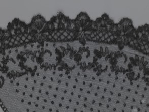 Veil, veils, lace, clothing accessories, fashion. Lace with a floral-geometric pattern running in a