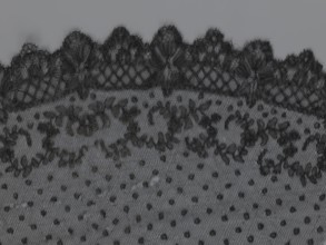 Veil, veils, lace, clothing accessories, fashion. Lace with a floral-geometric pattern running in a