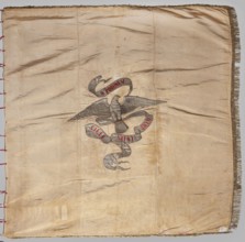 Banner of the Sokól Gymnastic Society, Double-sided banner, fabrics, 1906. Front: blue with red