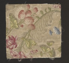 Fabric fragment, silk, 18th-century France. Background: cannetillé white; brocaded pattern in