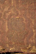 Fabric fragment, silk brocade brocaded grosgrain, 1st half of the 17th century, Italy. Red ground