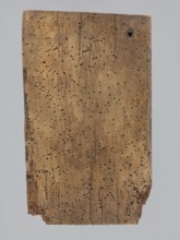 A single-sided gingerbread mold of rectangular shape with the image of a male figure in a richly