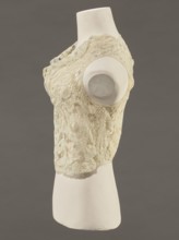 Bodice, lace, bodices, women's clothing, fashion. Pattern of rosettes connected by large spiders