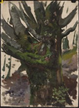 Study of a Tree, Leon Wyczólkowski 1852–1936, oil painting, study of trees/landscape, 19th/20th