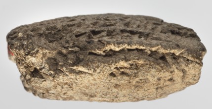 Cuneiform tablet with receipt, unknown Babylonian official role classification of creator,