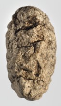 Cuneiform tablet with receipt, unknown Babylonian official role classification of creator,