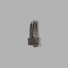 Aucissa-type fibula, Rome Empire, gift, brooch from the Black Sea region, AVCISSA-type fibula.