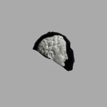 Cameo with a representation of the head of Tiberius in an oak wreath, unknown Italian workshop;
