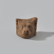 Terracotta dog head, dog's head with detailed anatomical features marked: large erect ears,