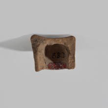 Terracotta dog head, ; animal figurine depicting a dog's head with detailed anatomical features: