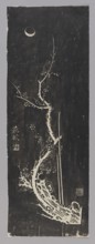 Branches of an Old Plum Tree ????, unknown artist; Su Shi 1037–1101, calligrapher;, noted. Chinese,