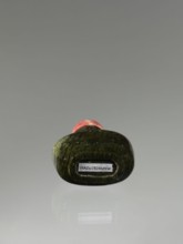 Snuffbox with spoon, Chinese, Qing dynasty 1644–1911, 19th century. Moon bottle snuffbox carved