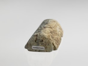 Tiger — tomb figurine; creator, Chinese; Western Zhou dynasty 11th century–771 BC; tomb figurine;