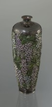 Vase, Hiratsuka, Mohei 1836-? maker. A slender ovoid, double-walled bottle on a very low ring foot