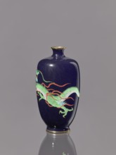 Vase, Meiji period 1868–1912, late 19th/early 20th century, Japan. Cloisonné enamel on silver. Vase