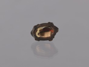 Group of turtles; okimono, Japanese, Meiji 1868–1912, 19th/20th century. Figurine ceramic, height 2
