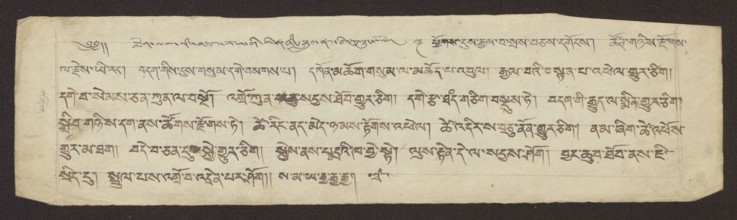 Buddhist manuscript page, unknown scribe-copyist, Tibetan Buddhist manuscript in ume dbu med and