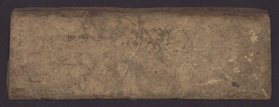 Buddhist manuscript — Penitential Text Tib. sDig bshags gser gyi zhes bya ba bzhugs+o, unknown