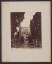 Tivoli. Villa d'Este, general view from the garden; unknown photographer; Anderson Rome;