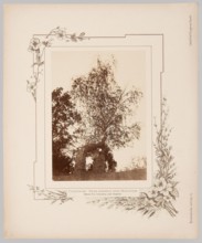 Tuhanovichi. Birch tree planted by Adam Mickiewicz. Photographic print glued onto lithographed