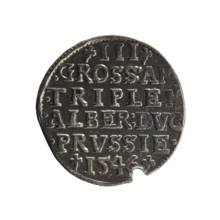 Trojak, Schilling, Maciej mintmaster; co-creator. Albrecht Hohenzollern Prince of Prussia;