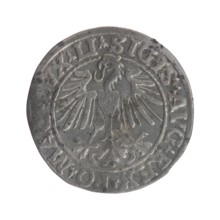 Lithuanian half-grosz, Sigismund II Augustus King of Poland; 1544–1572. Obverse: Polish Eagle; in