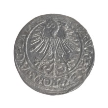 Lithuanian half-grosz, Sigismund II Augustus King of Poland; 1544–1572; obverse: Polish Eagle, in