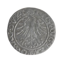 Lithuanian half-grosz, Sigismund II Augustus King of Poland; 1544–1572 author, Tarlo, Gabriel ca.
