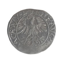 Lithuanian half-grosz, Sigismund II Augustus King of Poland; 1544–1572. Obverse: Polish Eagle; in