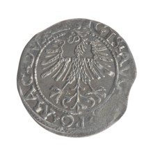 Lithuanian half-grosz, Sigismund II Augustus King of Poland; 1544–1572. Obverse: Polish eagle; in