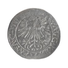 Lithuanian half-grosz, Sigismund II Augustus King of Poland; 1544–1572. Silver coin half-grosz,