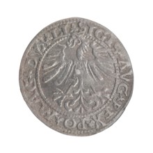 Lithuanian half-grosz, Sigismund II Augustus King of Poland; 1544–1572 ; Tarlo, Gabriel ca.