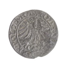 Lithuanian half-grosz, Sigismund II Augustus King of Poland; 1544–1572. Maker/co-creator: Tarlo,