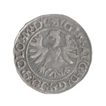 Lithuanian half-grosz, Sigismund II Augustus King of Poland; 1544–1572 ; Myszkowski, Stanislaw
