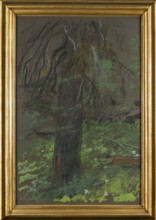 Wyczólkowski, Leon 1852–1936, painter. Title/subject: forests, spruces, trees. Date: 1915. Medium: