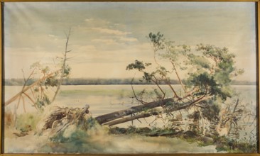Switez, Falat, Julian 1853–1929 painter; Switez Belarus; lake; ; lakes, pines, landscapes, plants,