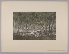 Karst Landscape; Ernst Arnold maker, 1895; engraved by Karl Mediz 1868–1945; published by Wilhelm