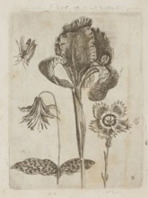 Floral arrangement; Tobias Frankenberger 1627–1664, young; engraver/author; German culture, Alsace