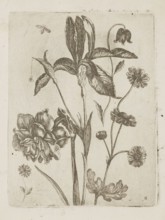Floral arrangement, Tobias Frankenberger 1627–1664; young, engraver/author; German; flowers;