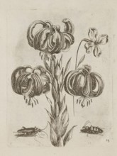Floral arrangement, Tobias Frankenberger 1627–1664, engraver; German; flowers; Alsace Strasbourg,