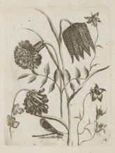 Floral arrangement, Tobias Frankenberger 1627–1664, engraver, German, 1662. Ink/engraving on paper,