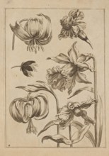 Floral composition; Jeremias Falck ca. 1609–1677, engraver; Frederik de Wit ca. 1630–1706, younger,