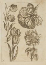 Floral composition; Frederik de Wit ca. 1630–1706 young; engraved by Jeremias Falck ca. 1609–1677;
