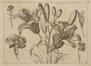 Floral composition; creator: Frederik de Wit ca. 1630–1706, young; engraver: Jeremias Falck ca.