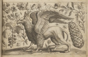 Gryf; Hollar, Wenceslaus 1607–1677 engraver, author; Overton, John 1640–1708? engraver, publisher;
