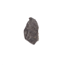 Fragment of a double-sided Drohiczyn seal. On one side an eagle with its head turned to the right;